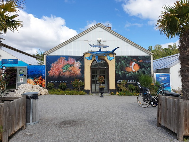 things to do in Stockholm for families