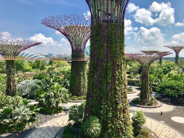 top things to do in Singapore