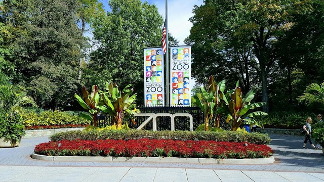 things to do in Washington DC for families