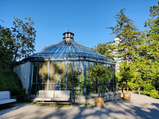 things to do in Zurich