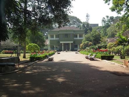 top things to do in Kerala 