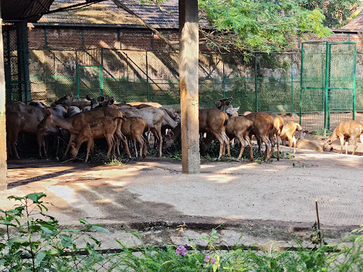 best Kerala attractions for families
