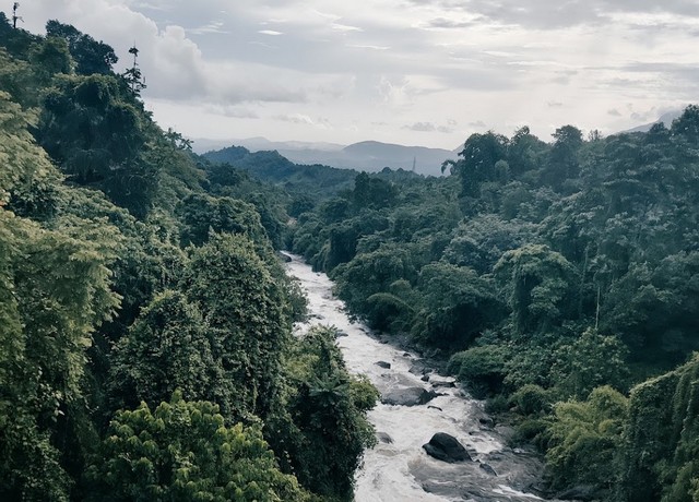 famous waterfalls in Kerala
