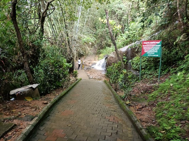 Thusharagiri Waterfalls