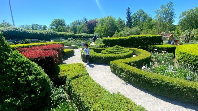 Toronto Botanical Garden