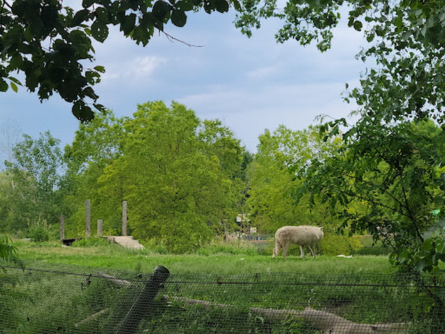 Toronto Zoo