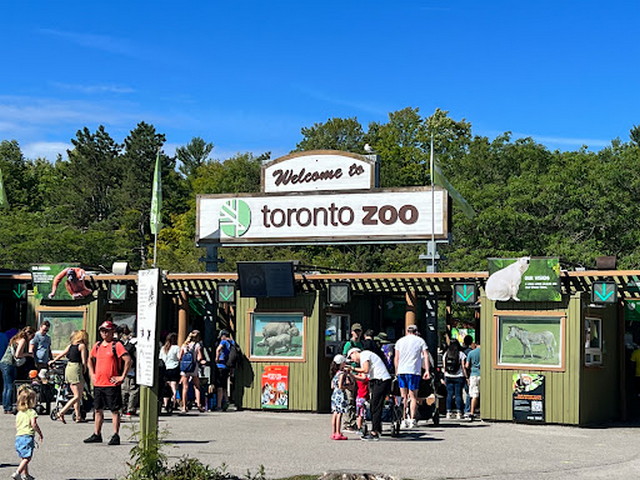 must things to do in Toronto