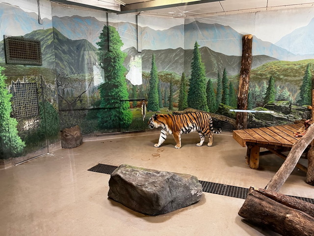 Toronto Zoo
