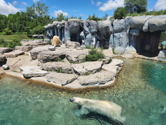 Toronto Zoo