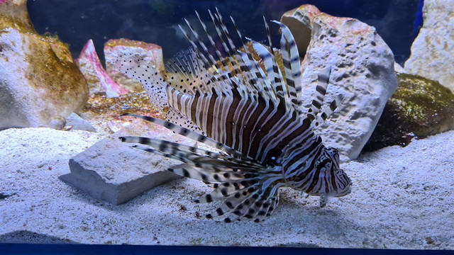 tropicarium park