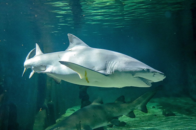 tropicarium park