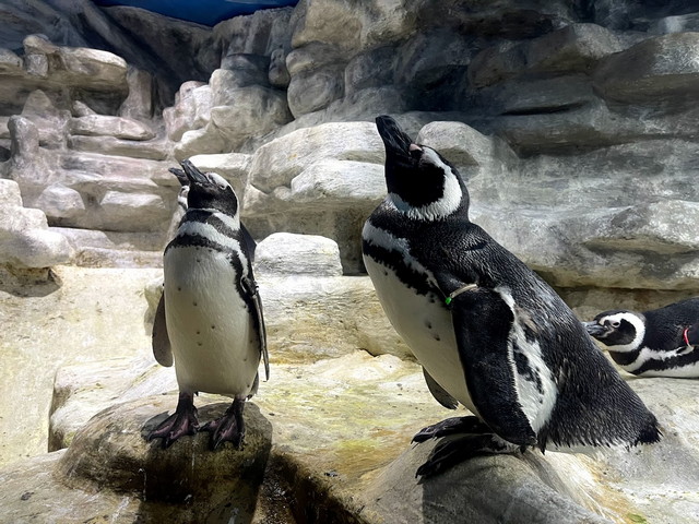 tropicarium park