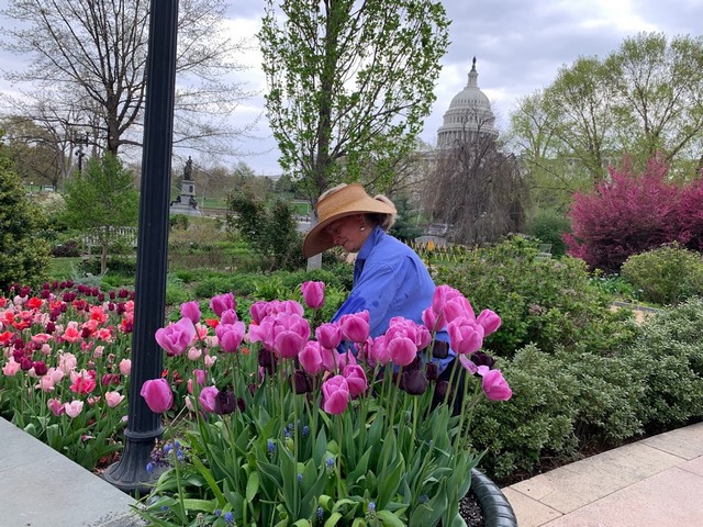 United States Botanic Garden Washington