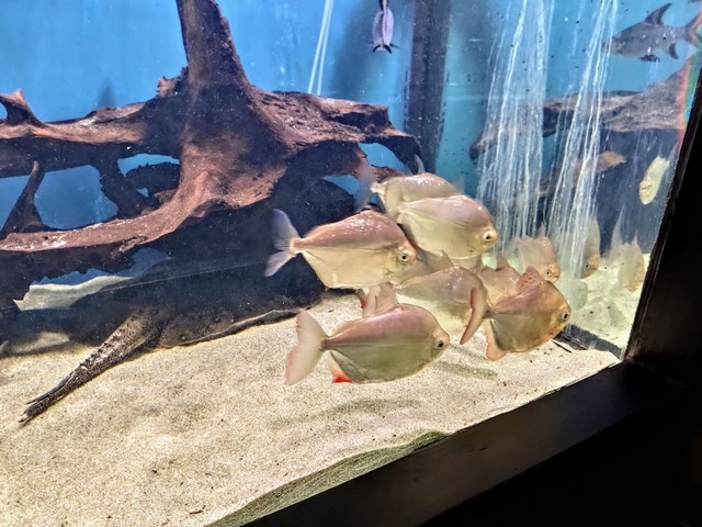 Zoo Bucharest