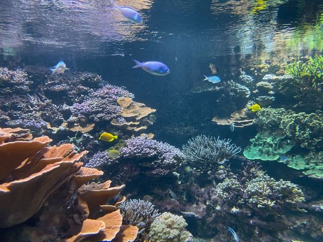 Zurich Zoo