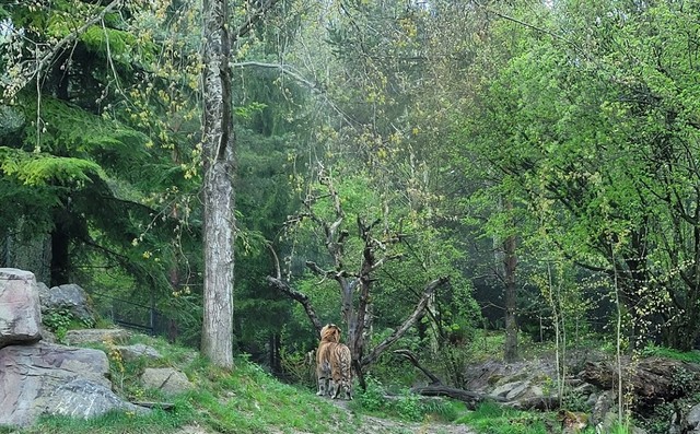 Zurich Zoo