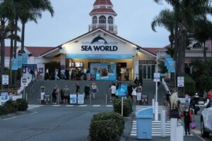 Sea World Gold Coast