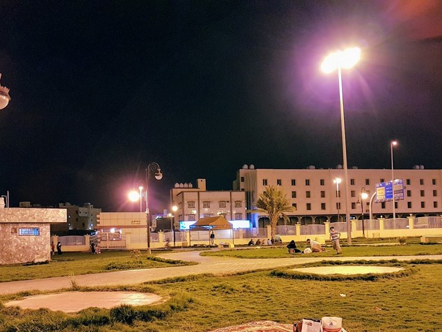 حديقة المدينة المنورة خميس مشيط