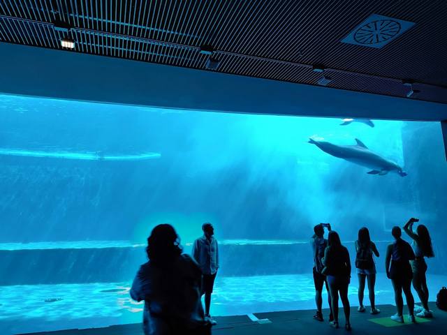 اكواريوم بجنوة - Aquarium of Genoa