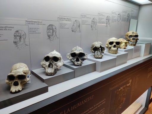 Catalan Museum of Archaeology Barcelona