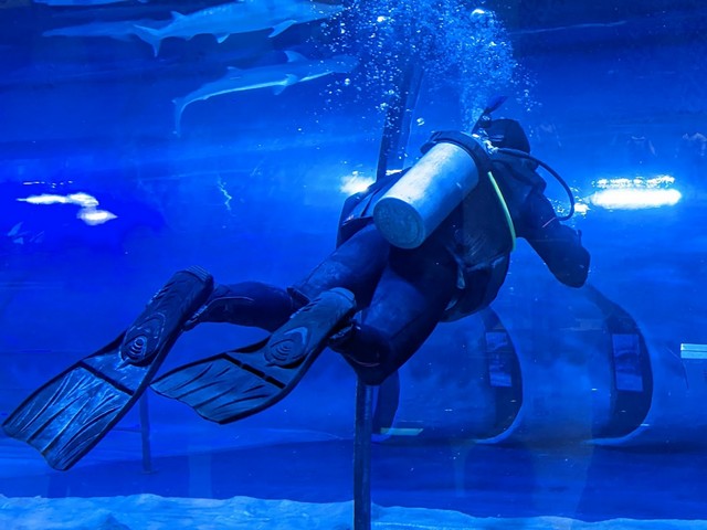 Aquarium in Dubai