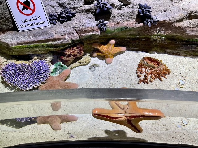 Dubai Aquarium