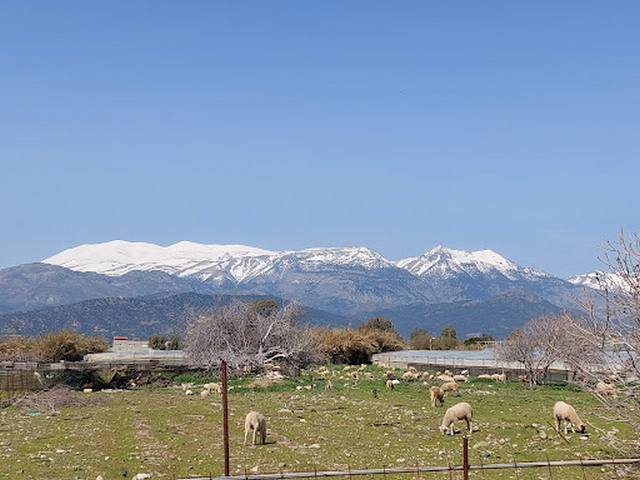 Ida Mountain Crete