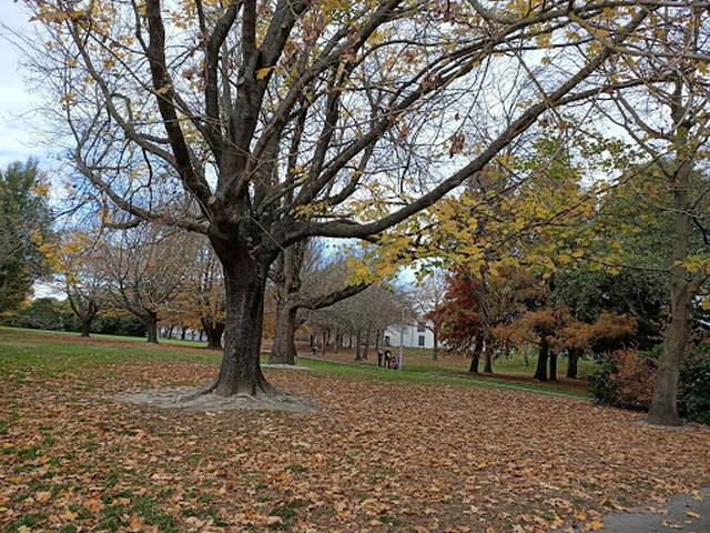 اماكن سياحية في كرايستشرش