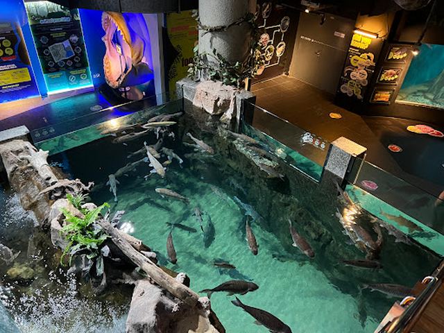  اكواريوم بكوالالمبور - Aquaria KLCC