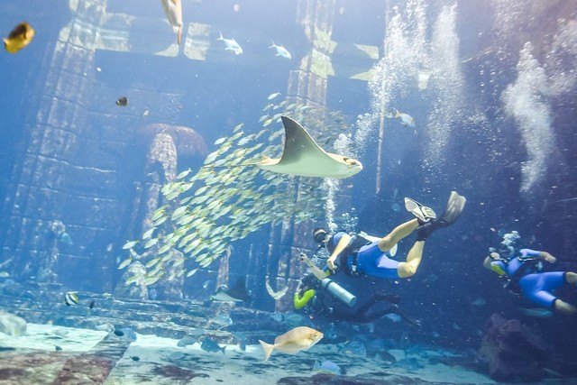 Lost Chambers Aquarium Dubai
