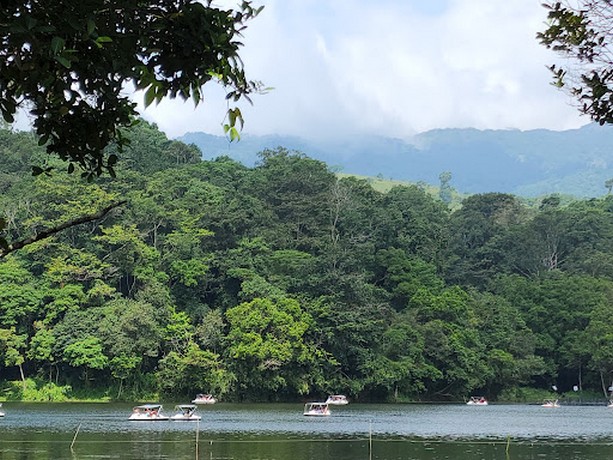 بحيرة بوكود كيرلا - Pookode Lake Kerala