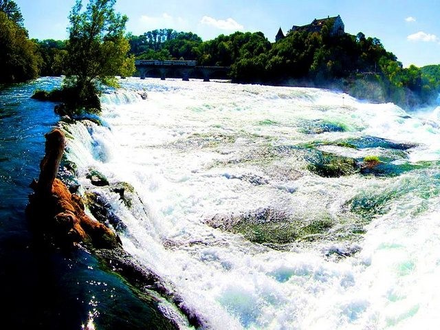Rhine Falls