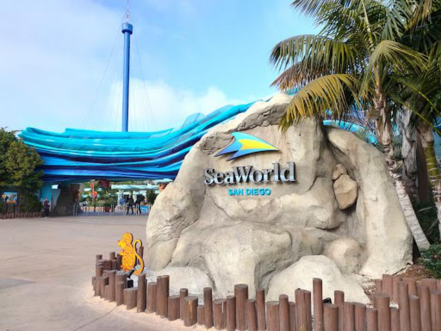 top things to do in San Diego