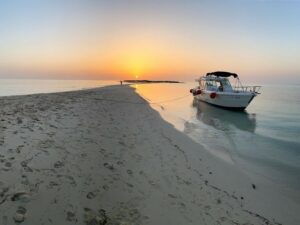 الجزر في املج