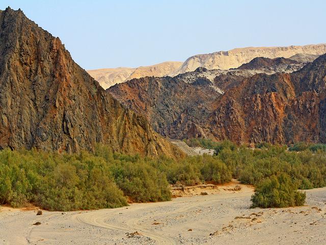 السياحة في مرسى علم