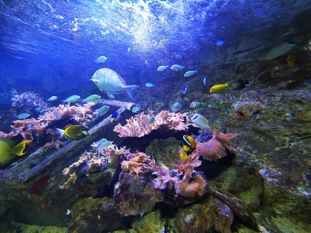 Madrid Aquarium