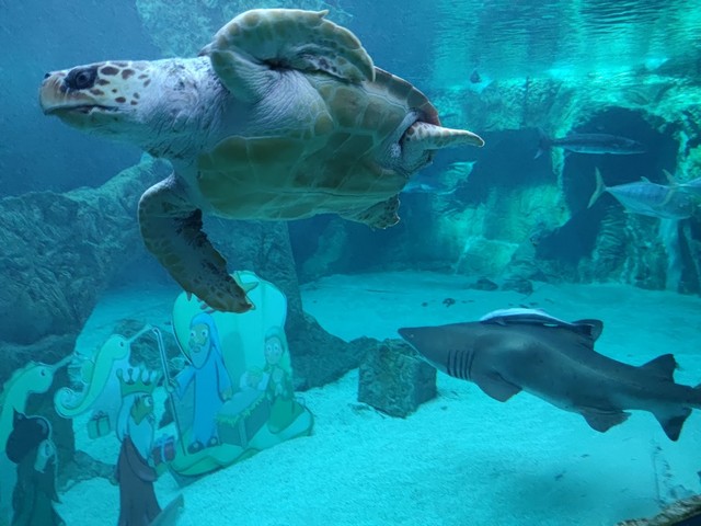 Madrid Aquarium