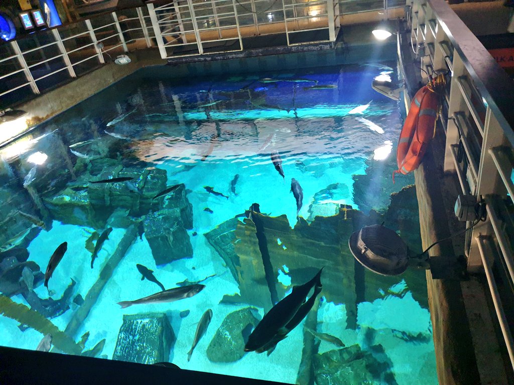 Bristol Aquarium