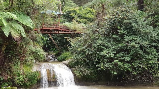 top things to do in Cameron Highlands