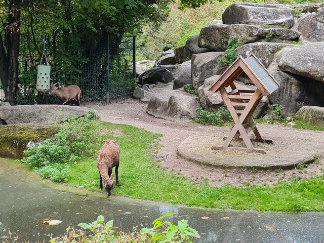 Hellabrunn Zoo in Munich