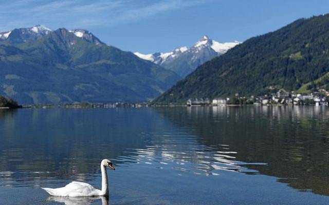 activities in Zell am See 