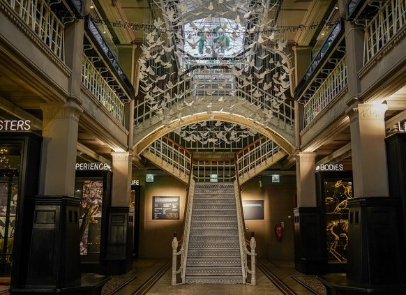 things to do in Manchester 