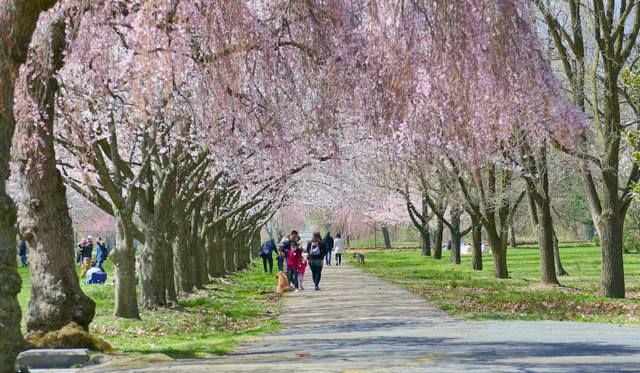 Fairmount Park in Philadelphia