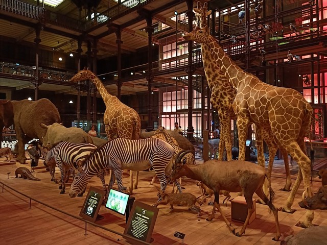The Grand Gallery of Evolution in Paris