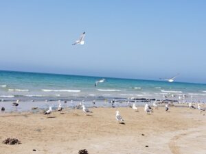 شواطئ رأس الخيمة
