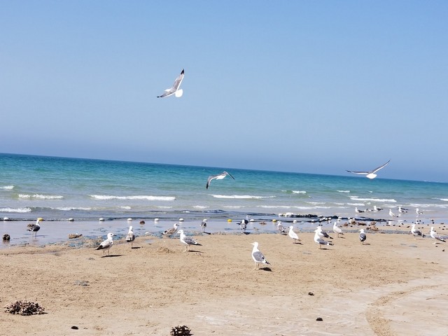 best beaches in Ras al Khaimah