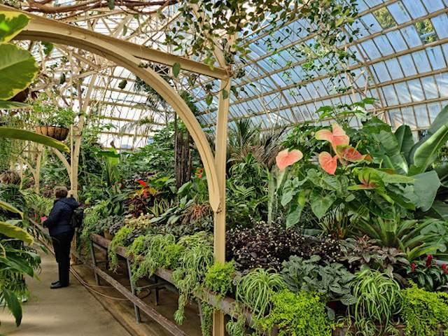 Botanic Gardens in Christchurch