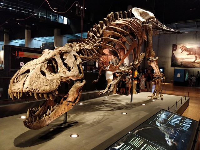 Cosmo Caixa Museum Barcelona
