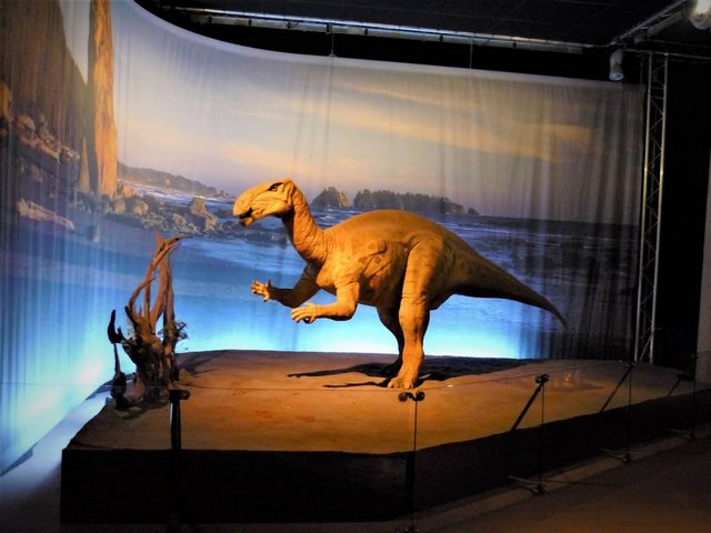 Discovery Palace Museum Paris