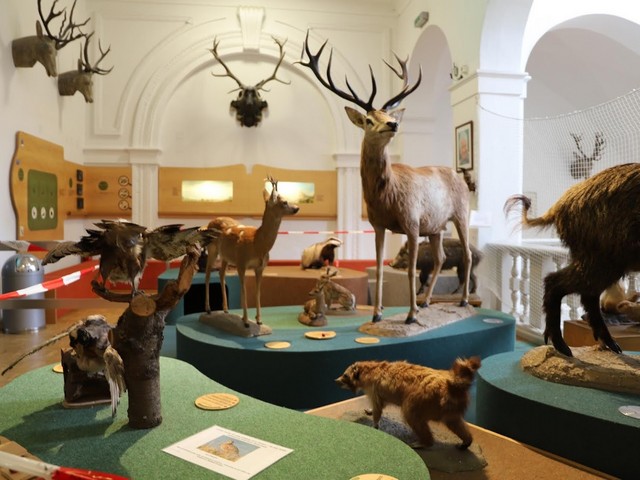 متحف صيد الأسماك الألماني في ميونخ - German Hunting and Fishing Museum Munich